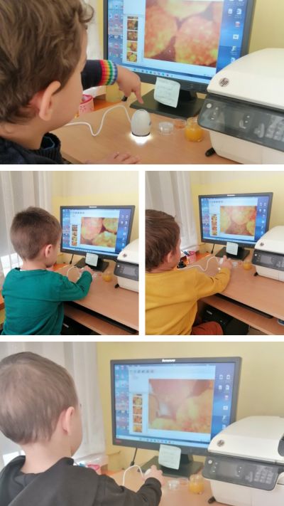 Медено приключение в група "Мечо" 8