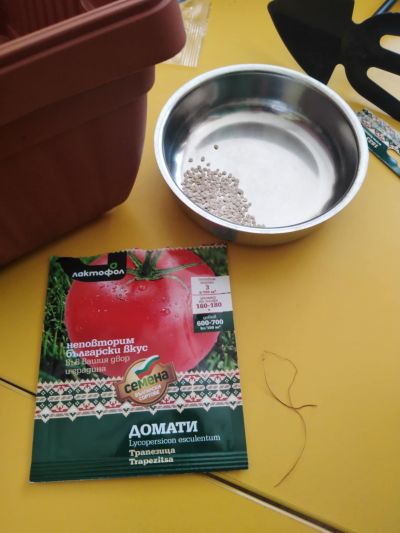 Засаждане на разсад 13