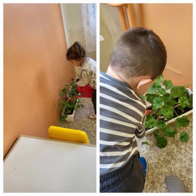 Вода за живот 11