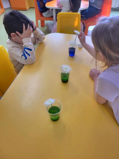 Вода за живот 9