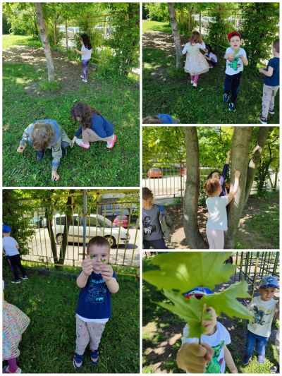 Изследователска експедиция 2