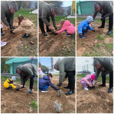 Да живеем в хармония с природата 5