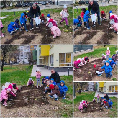 Грижа за лавандуловата градинка - ДГ №108 Детско царство - София