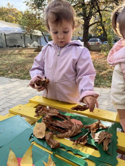 Есен в природата 10