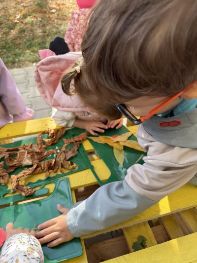 Есен в природата 5